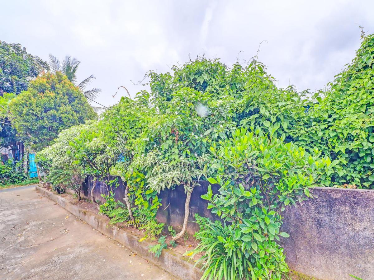 Oyo 92203 Tata 2* Ubud