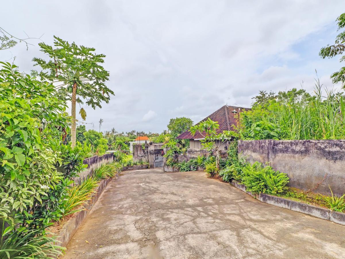 Oyo 92203 Tata 2* Ubud